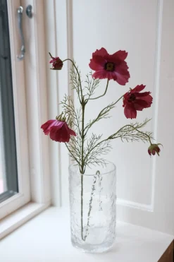 Blomst • Cosmos • Fuchsia