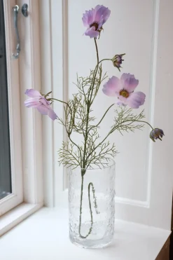 Blomst • Cosmos • Lilla