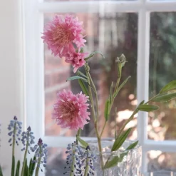 Blomst • Kornblomst • Pink