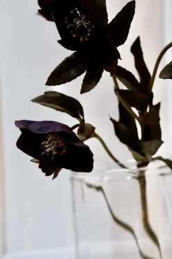 Blomst • Påskeklokke • Lilla