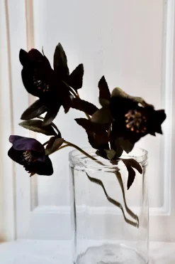 Blomst • Påskeklokke • Lilla