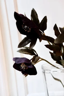 Blomst • Påskeklokke • Lilla