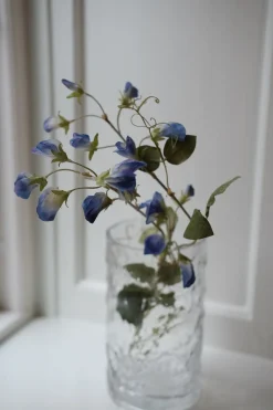 Blomst • Ærteblomst • Blå