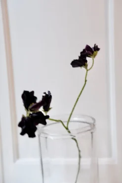 Blomst • Ærteblomst • Mørkelilla