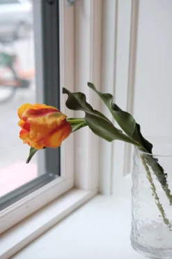 Blomst • Tulipan • Orange