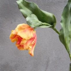 Blomst • Tulipan • Orange