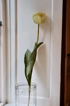 Blomst • Tulipan • Spray • Hvid