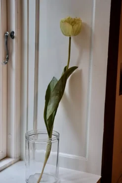 Blomst • Tulipan • Spray • Hvid