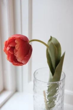 Blomst • Tulipan • Spray • Orange