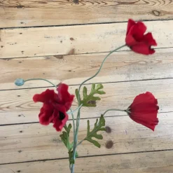 Blomst • Valmue • 3 blomster • Rød