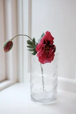 Blomst • Valmue • Fuchia