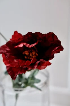 Blomst • Valmue • Mørkerød