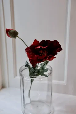 Blomst • Valmue • Mørkerød