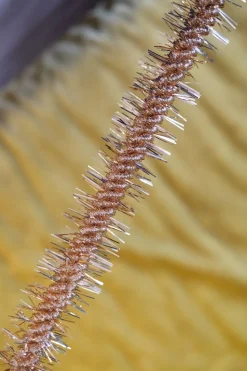 Guirlande • Lametta • 2 meter • Twist Kobber