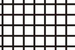 mt Masking Tape • Sort Tern