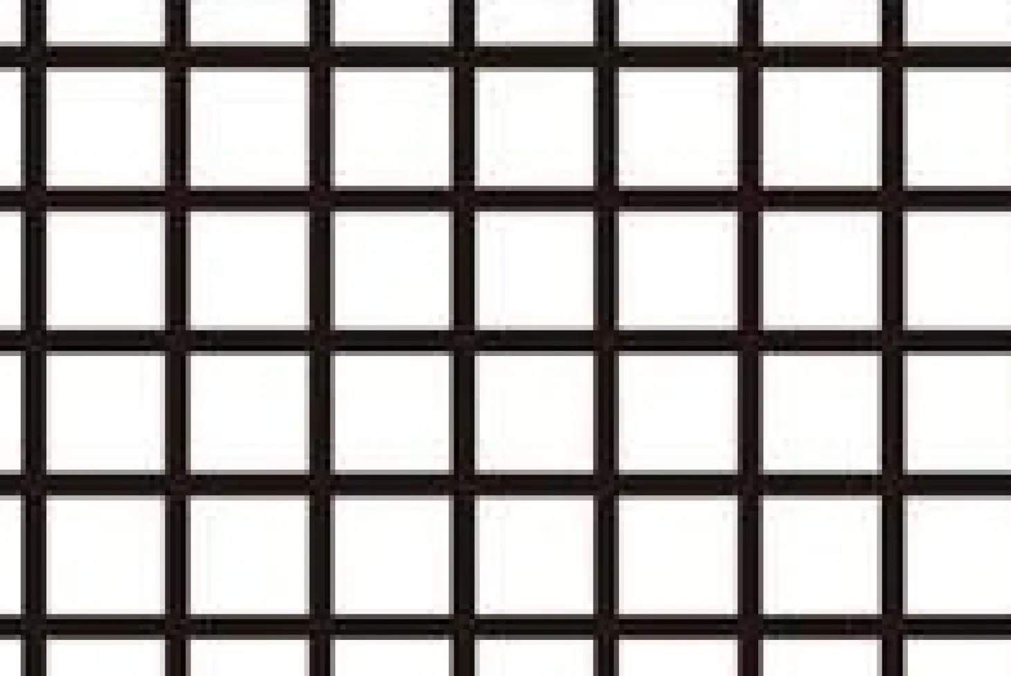 mt Masking Tape • Sort Tern