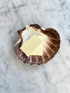 Muslingeskal • Kammusling