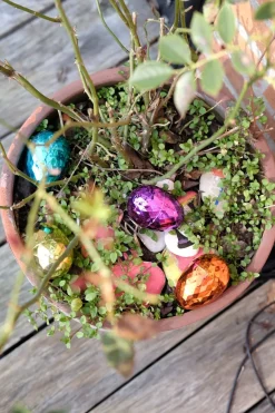 Påskedekoration • Skinnende Æg Assorteret • 8 cm