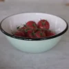 Serveringsskål • Emalje • Mint