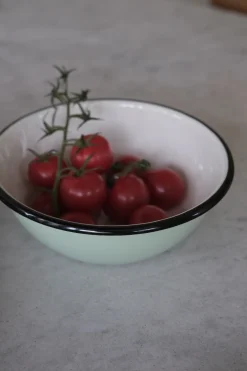 Serveringsskål • Emalje • Mint