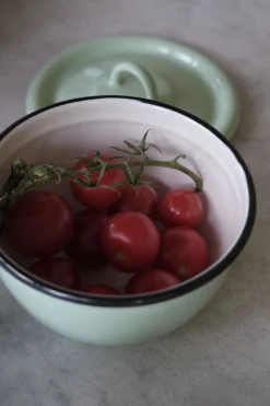 Serveringsskål med Låg • Emalje • Mint